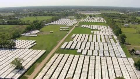 FEMA TRAILERS from HURRICANE KATRINA are TOXIC! OMG!