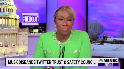 MSNBC's Joy Reid has MELTDOWN over Elon Musk restoring free speech on Twitter