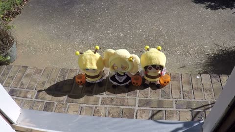 Trick or Treat fumo bees
