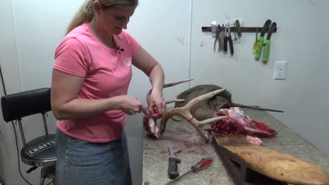 Caping A Deer Head For A Shoulder Mount