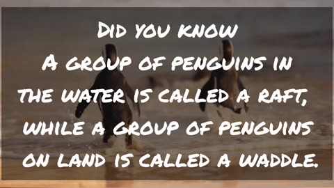 Did you know this? Let me know in the comments👇