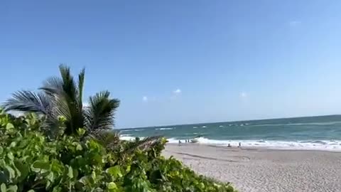 Illegal immigrants wash up on a beach in the Floridian town of Jupiter...