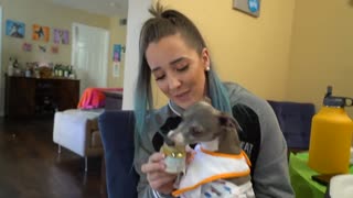 Treating My Dogs Likes Babies for a day