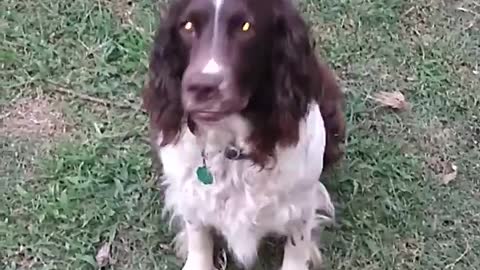 Boudreaux learning to wave