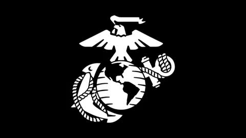 Military - 2022 US Marine Corps Why We Defend The US Constitution 11 Dead Afgan