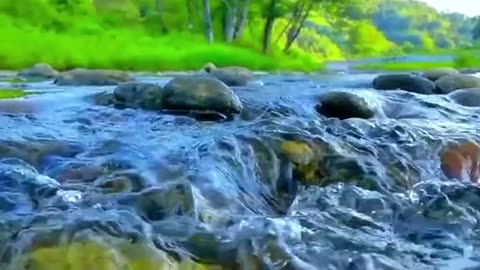 Nature's Serenity: A Scenic View of Flowing Water in the Wilderness