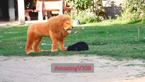 Best Prank Collection Top 15 - Fake Lion Prank Real Dog Super Funny - Try Not To Laugh Challenge