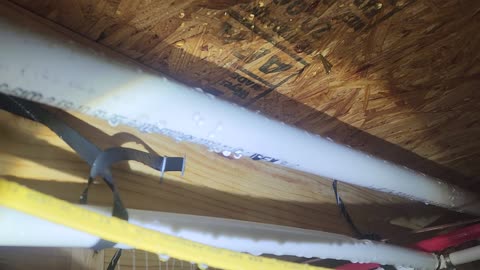 Rodents eat through PEX piping