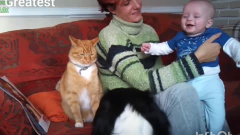 Funny Babies Laughing Hysterically at Cats Compilation