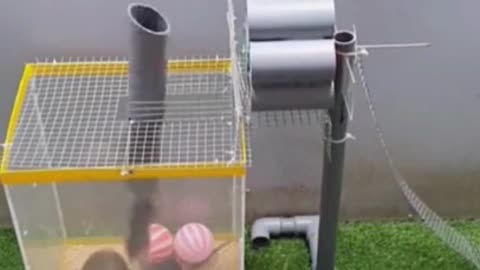 Super Easy Roller Mouse Trap[homemade] #shorts #mousetrap #roller #homemade #mousetrap