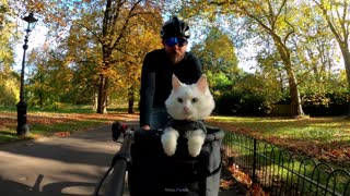 Man and Cat Explore London on a Bike