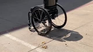 Rolling Wheelchair Returns