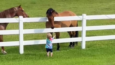 cute Kid in horse yard PLAY with HORSE