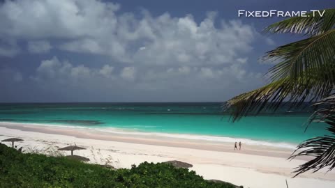 The Beach (Bahamas)