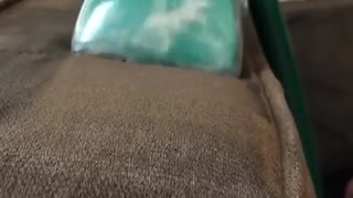 Cleaning couch with Bissel's Little Green Machine