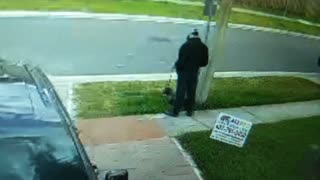 Florida Man Suspected of Eating Dog Poop
