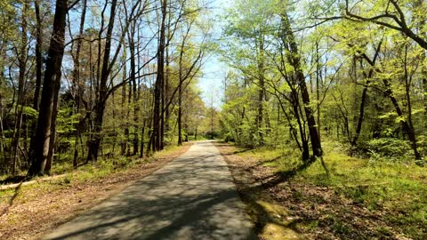 Hiking the White Oak Creek Greenway in Cary NC Part 2