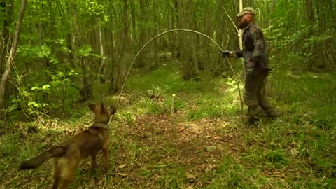 Building a Survival Shelter in a Forest - Camp food from natural herbs