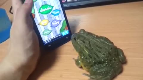 ohhh my frog