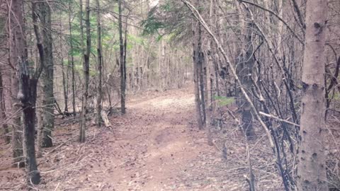 Family hike