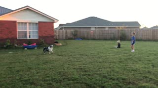 Sam Catching Frisbee Straight At Him