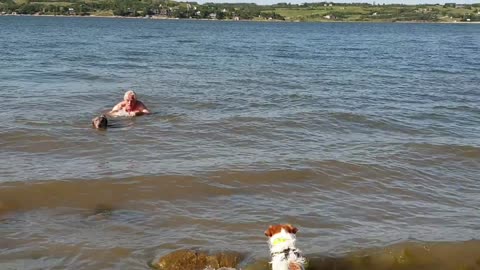 DD Weimaraner Buddy Gave me his tail to pull me back to the shore