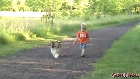Bebés paseando a sus perros