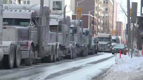 Anti-FreedomConvoy Ottawans interviewed