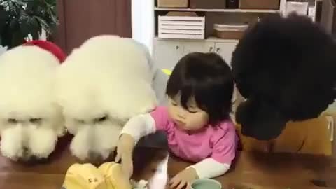 BABY SHARING FOOD WITH DOG
