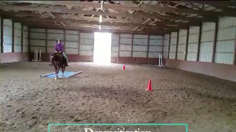 Duke Riding Smooth at His New Barn