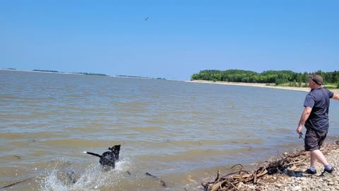 Swimming at Gleniffer lake