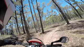 CRF450L Random Ride