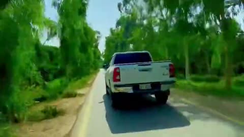 Beautiful road view whit trees