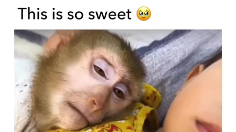 Amazing smart monkey 🙈 sweet ❤️