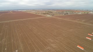 Winter cotton field 3