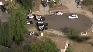 Police Standoff Leads to Armored Vehicles & K9