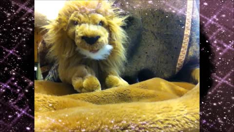 Roary the Lion Puppet Sleeps Tonight