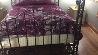 Custom made queen size bed. Schultz ornamental Iron