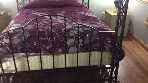 Custom made queen size bed. Schultz ornamental Iron