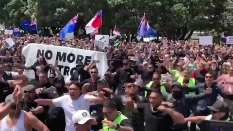 Nuova Zelanda: Enorme protesta davanti al parlamento a Wellington contro l'obbligo vaccinale