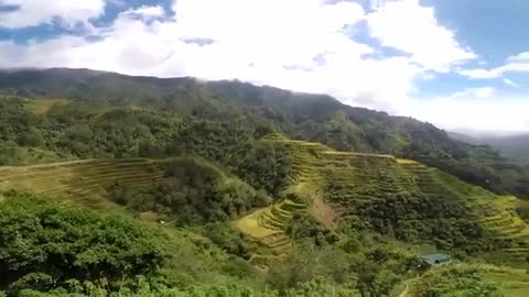 Banaue Rice Terraces- The Eighth Wonder of the World