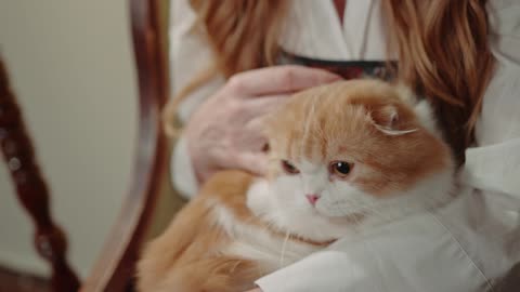 A Woman Taking Care Of Her Pet