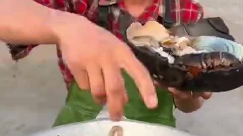 Chinese seafood video and eating video