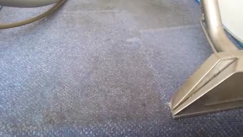 Carpet Cleaning Dublin Cost