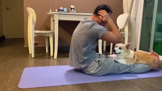 Corgi Coach Helps with Core Workout