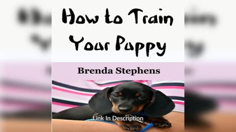 How to Train Your Puppy by Brenda Stephens