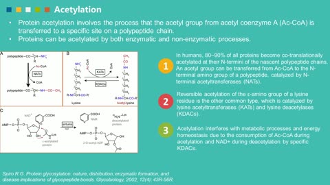 Introduction of PTM - Creative Proteomics