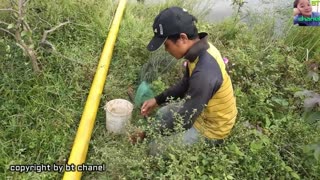 New Technique Of Catching - Believe This Fishing Unique Fish Trapping System Country Fish