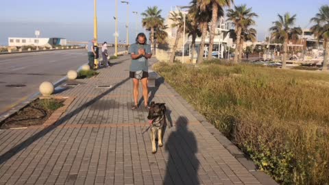 Dénia pasada tormenta