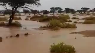 Desert watered with rainwater